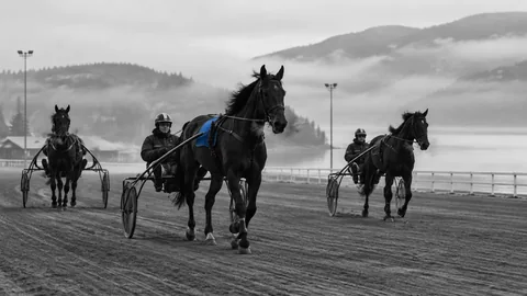 Travhester før start hos Rikstoto